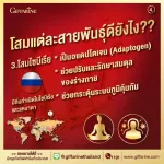 กิฟฟารีน Giffarine ทรีจี จินเส็ง GINSENG สารสกัดจากโสมแดงเกาหลี ผสมสารสกัดจากโสมอเมริกัน และสารสกัดจากโสมไซบีเรีย 30 แคปซูล Capsules 41032