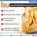 กิฟฟารีน Giffarine ทรีจี จินเส็ง GINSENG สารสกัดจากโสมแดงเกาหลี ผสมสารสกัดจากโสมอเมริกัน และสารสกัดจากโสมไซบีเรีย 30 แคปซูล Capsules 41032