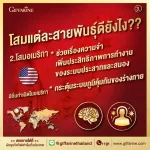 กิฟฟารีน Giffarine ทรีจี จินเส็ง GINSENG สารสกัดจากโสมแดงเกาหลี ผสมสารสกัดจากโสมอเมริกัน และสารสกัดจากโสมไซบีเรีย 30 แคปซูล Capsules 41032