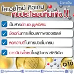 Giffarine Giffarine Co-Q Ten Max Co Q10 Maxx Coenzyme Q10 Mix L-Carnitine and Citus Biolavonoid. Reduce the frequency of migraine 30 capsules Capsules 41015