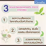 กิฟฟารีน Giffarine อี จี ซี จี EGCG สารสกัดจากชาเขียว ลดความเสี่ยงโรคกล้ามเนื้อหัวใจตาย ยับยั้งเซลล์มะเร็ง ควบคุมน้ำหนัก 30 แคปซูล Capsules 41006