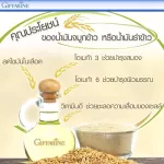 กิฟฟาริน Giffarine โอรีซา อี Oryza E นํ้ามันจมูกข้าวและนํ้ามันรำข้าวผสมนํ้ามันจมูกข้าวสาลี และวิตามินอี ลดไขมันในเลือด บำรุงสมอง 60 แคปซูล 40113