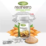 100% white Krachai Krachai Khao Capsule - helps to increase immunity, anti -virus, enhancement in the body. Delivered directly from the company