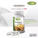 100% white Krachai Krachai Khao Capsule - helps to increase immunity, anti -virus, enhancement in the body. Delivered directly from the company