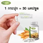 100% white Krachai Krachai Khao Capsule - helps to increase immunity, anti -virus, enhancement in the body. Delivered directly from the company
