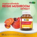 สารสกัดจากเห็ดหลินจือ x 3 ขวด ไบโอแคป Reishi Mushroom Extract Biocap เห็ดหลินจือ