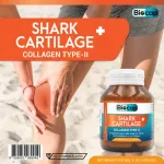 SHARK CARTILAGE x 3 bottles Plus Collagen Type II Biocap, Sharp, Shark, Collagen, Type Two Cap