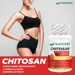 Chitosan x3 bottle of white bean extract L-Phenil Alanine Chitosan White Kidney Bean L-Phenylalanine Garcinia Extract Au Naturel