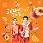 แสลนดาร์ ดริงค์ ตรา ปนันชิตา 4 แถม 2