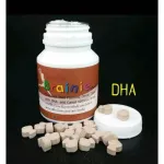 DHA Baby Vitamin Baby Dietary Supplements Bennie Chocolate Giffarine Brainie Chocolate Giffarine