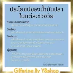 น้ำมันปลา ขนาด 500 มก. บรรจุ 90 แคปซูล