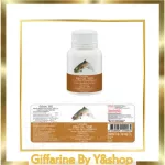 Fish oil, size 1,000 mg, containing 50 capsules