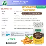 กระชายขาว Finger Root Extract X 3 ขวด The Nature สารสกัดจากกระชายขาว เดอะ เนเจอร์ บรรจุขวดละ 60 แคปซูล