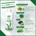 ของแท้! ไฟโตคลอโรฟิลล์Phyto Chlorophyll 500ml.หมดอายุ 09/2022 PHHP อาหารเสริมสุขภาพ คนทานเจทานได้