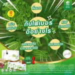 ของแท้!ไฟโตไฟเบอร์ คลีนซ์ ดีท็อกซ์Phyto Fiber Cleanzหมดอายุ.10/2022 PHHP อาหารเสริมสุขภาพ คนทานเจทานได้