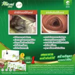 ของแท้!ไฟโตไฟเบอร์ คลีนซ์ ดีท็อกซ์Phyto Fiber Cleanzหมดอายุ.10/2022 PHHP อาหารเสริมสุขภาพ คนทานเจทานได้