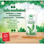 ของแท้! ไฟโตคลอโรฟิลล์Phyto Chlorophyll 500ml.หมดอายุ 09/2022 PHHP อาหารเสริมสุขภาพ คนทานเจทานได้