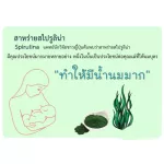 อัลจีน่า สไปรูลิน่า 500มก. 300แคปซูล จำนวน 1 กระป๋องพลาสติก อาหารเสริม คนรักสุขภาพ