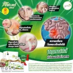 ของแท้!ไฟโตไฟเบอร์ คลีนซ์ ดีท็อกซ์Phyto Fiber Cleanzหมดอายุ.10/2022 PHHP อาหารเสริมสุขภาพ คนทานเจทานได้