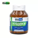 Vitamin B Complex Biocap ไบโอแคป Vitamin B1 B2 B3 B5 B6 B7 B9 B12 วิตามิน บี1 บี2 บี3 บี5 บี6 บี7 บี9 บี12 มัลติวิตามินบี