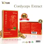 Cordyceps Extracting the Ginkgo Bai Extracting Cordycend x 1 box. The Nature Cordyceps Sinensis Extract Ginkgo Biloba Extract The Nature