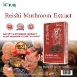 เห็ดหลินจือ สกัด x 1 กล่อง Reishi Mushroom Extract เห็ดหลินจือแดง บำรุงร่างกาย เดอะ เนเจอร์ The Nature x 30 แคปซูล