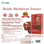 เห็ดหลินจือ สกัด x 1 กล่อง Reishi Mushroom Extract เห็ดหลินจือแดง บำรุงร่างกาย เดอะ เนเจอร์ The Nature x 30 แคปซูล