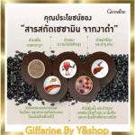 Sesami-S supplement, dietary supplement, black sesame extract, mixed with fragrant brown rice, vitamin C and selenium, capsule, Giffarine