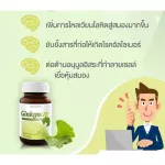 Vistra Ginko 120mg. Visuta, ginkgo leaf extract, 120 mg 30 tablets