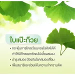 Vistra Ginko 120mg. Visuta, ginkgo leaf extract, 120 mg 30 tablets