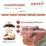Amarit Ganoderma lucidum helps to nourish the body, reduce pressure, prevent tumors. Rejuvenating the wear and tear to reduce fat 60 capsules