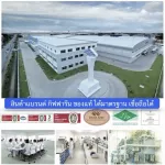 Selling well !! Free delivery !! Giffarine Vita Giffarine Vita, low -fat corn odor, easily digested, easily absorbed No cholesterol, 1 box of plants/15 sachets/132 baht