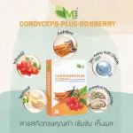 Golden age vitamins Herbs cure menopause, insomnia, effectively slowing aging. The most intense M Tale Cordyceps Plus - 4 x 30 capsules