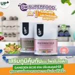 Updated food protein supplements 420 grams of chocolate flavor