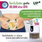 Updated food supplements, protein, plants, chocolate, berry, size 294 grams, 42 grams of envelopes