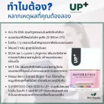 Updated food supplements, protein, plants, chocolate, berries and vanilla mixed bakery, size 294 grams, 42 grams of envelopes