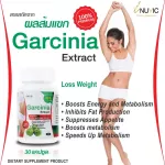 Garcinia Extract x 3 bottles of Garcinia Inuvic, Garcinia Garcinia Garcinia Inuvic