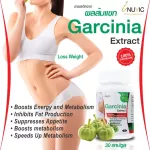 Garcinia Extract x 3 bottles of Garcinia Inuvic, Garcinia Garcinia Garcinia Inuvic