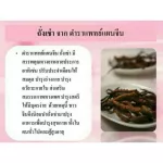 Giffarine Cordyceps for women nourish the body, enhance sexual performance, women.