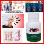 ส่งฟรีคลอโรฟิลล์ ซีโอ และ ไฟเบอรีน ใยอาหาร ธรรมชาติ กิฟฟารีน