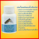 Free delivery Collagen Type Two, UST, Calcium and Giffarine Fish Oil