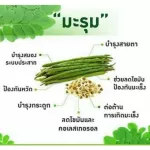 ส่งฟรีกรานาดา ทับทิมเม็ด และ มะรุม-ซี แคปซูล ผลิตภัณฑ์กิฟฟารีน บำรุงหัวใจและช่วยลดระดับน้ำตาลในเลือด ผลิตภัณฑ์กิฟฟารีน