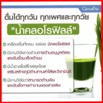 ชุดดีทอกช์ ลำไส้ และตับ คลอโรฟิลล์ และเลชิติน