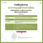 ฟ้าทะลายโจร กิฟฟารีน ชนิดแคปซูล สูตรดั้งเดิม