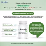 ฟ้าทะลายโจรสกัด กิฟฟารีน สูตรเข้มข้น ขนาด 30 แคปซูล เลขทะเบียน G798/59