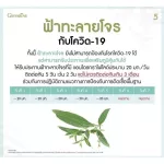 Free delivery, pair of pirates, concentrated pirates, capsules and zinc, collagen Enhance the immunity of Giffarine