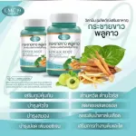 LMC19 แอลเอ็มซี 19 กระชายขาว พลูคาว มะขามป้อม เบต้า-กลูแคน วิตามิน Finger Root Plukaow Vitamin  ต้านไวรัส 30 แคปซูล Capsules