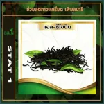 Schalin Statty Day, white krachai, high, 368 mg, vitamin D 3, 2000mcg100,000iu, betel, beta, krachai vitamin d3 Betaglucan, 1 box, 10 capsules, 20 capsules.