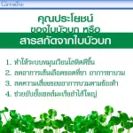 กิฟฟารีน Giffarine โกตูล่า ซี-อี Gotula C E  ผลิตภัณฑ์เสริมอาหาร สารสกัดจากใบบัวบก ผสมวิตามินซีและวิตามินอี 60 แคปซูล 41013