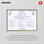 Chinhuahengเครื่องดื่มโสมอเมริกาสกัดเข้มข้นสูตรคอลลาเจน10 ลักษณะข้นหนืดรสชาตอร่อย บรรจุGift Setของขวัญกล่องผ้าไหมหรูหรา